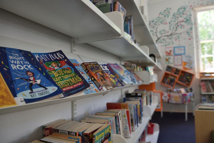 A selection of books on the library shelf
